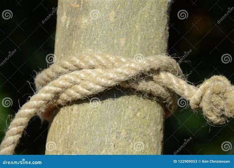 Clove hitch stock image. Image of closeup, twisted, pole - 122909053