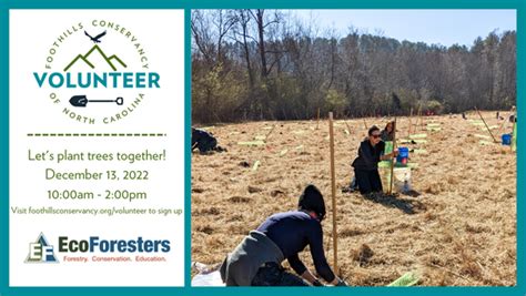 Volunteer Tree Planting! — Foothills Conservancy