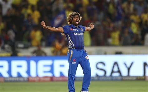 Most Wickets in IPL | Highest Wicket Taker in IPL History