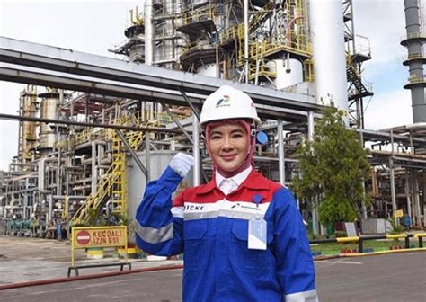 Sebelum Jadi Dirut Pertamina, Nicke Memiliki Kekayaan Rp 28 M