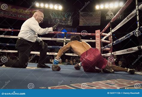 Knock Down For The Count Professional Boxing Editorial Photo - Image: 56971136