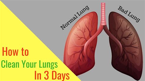 How To Clean Lungs After Smoking - Figfilm3