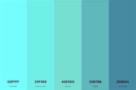 25+ Best Turquoise Color Palettes with Names and Hex Codes – CreativeBooster