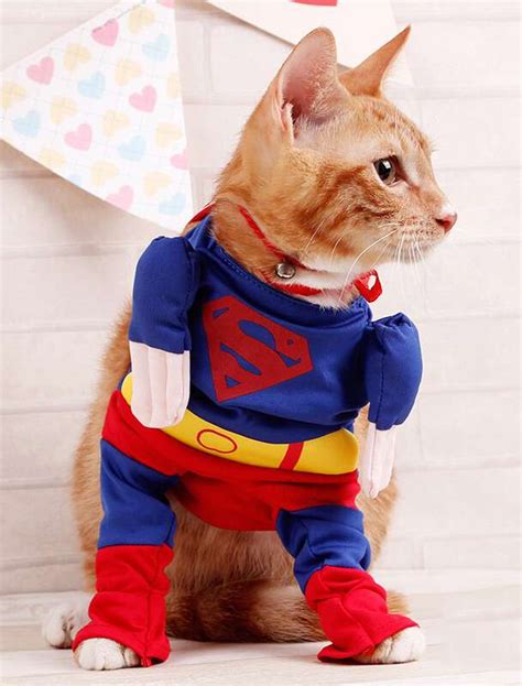 Dog Super Hero Costumes Halloween Factory Supplier