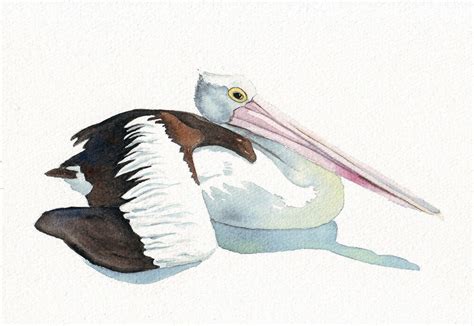 Pelican Painting ORIGINAL watercolor painting. $60.00, via Etsy seller ...