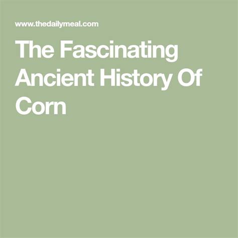 The Fascinating Ancient History Of Corn - The Daily Meal in 2023 ...