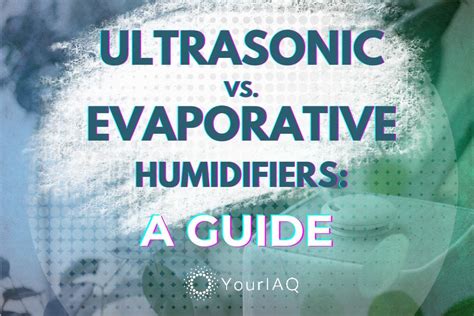 Evaporative vs. Ultrasonic Humidifiers: A Guide - YourIAQ