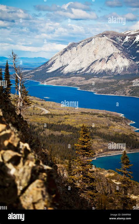 Tagish Lake And Lime Mountain; Carcross Yukon Canada Stock Photo - Alamy