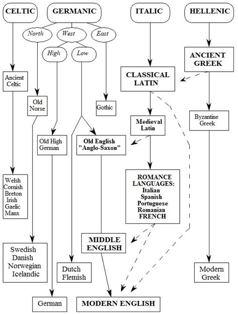 §4. The Indo-European Family of Languages – Greek and Latin Roots: Part I – Latin