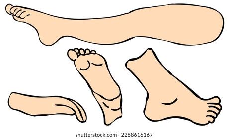 Foot Drawing Different Angles Stock Illustration 2288616167 | Shutterstock