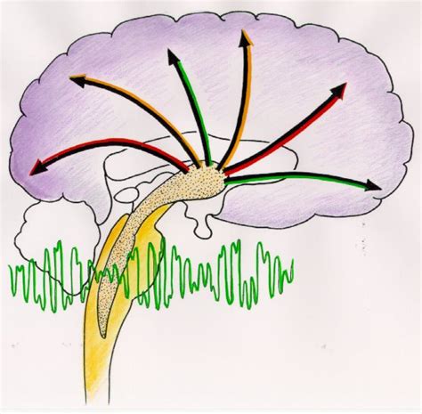 What Are Binaural Beats?