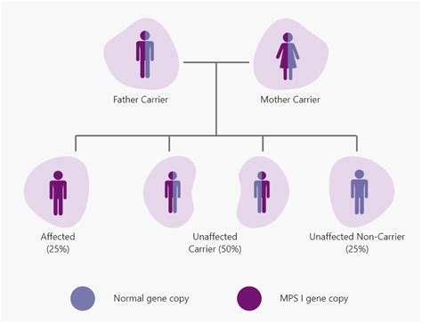 Genetics and MPS I | Aldurazyme Patient