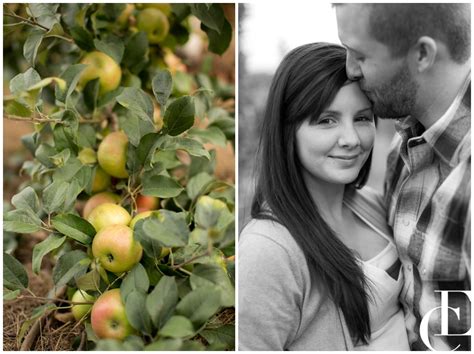 A Wilson's Apple Orchard Summer Engagement Shoot - Emily Crall Blog ...