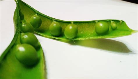 Legumes Peas Pod - Free photo on Pixabay