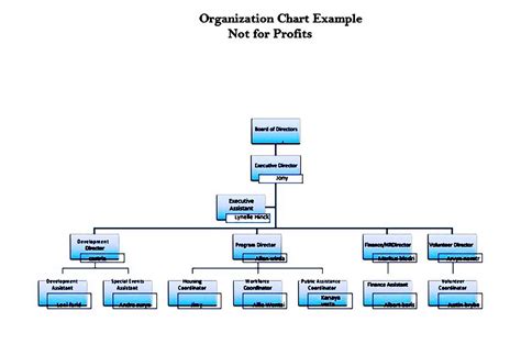 Non Profit Organizational Chart Template