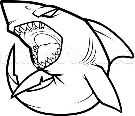 Goblin Shark Drawing | Free download on ClipArtMag