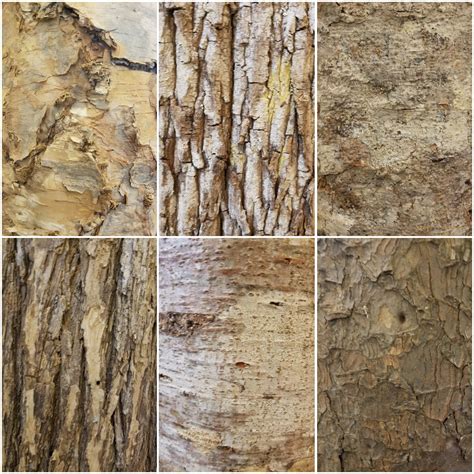 The Tree Bark Quilt Series - ANY Texture - Textile Art by Zwia Lipkin