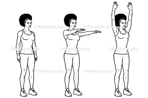 Double Arm Front Raises to Overhead Extension – WorkoutLabs Exercise Guide