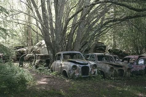 Eerie pictures show desolate car graveyard where hundreds of vehicles ...