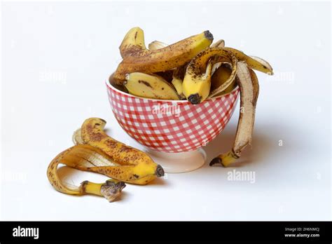 Banana peel in peel, banana, compost Stock Photo - Alamy