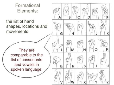 Natural sign languages revision ppt