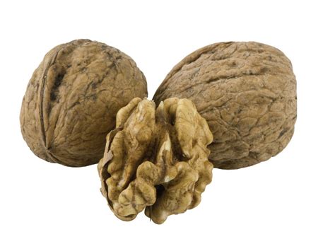 Black Walnut Hulls Juglans Nigra (Black Walnut) Shell Extract - Bio-Botanica