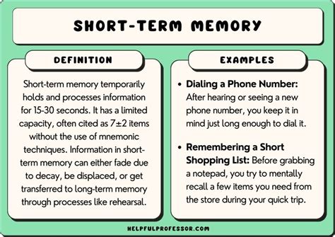 The 6 Types of Short-Term Memory (2024)