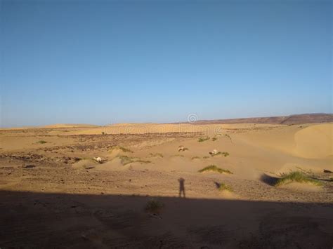 Western Sahara stock image. Image of landscape, western - 112454831