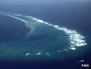 Kingman Reef National Wildlife Refuge | National Wildlife Refuges