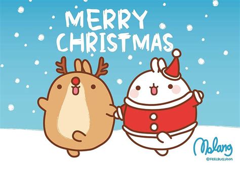 Archives, christmas cat kawaii HD wallpaper | Pxfuel