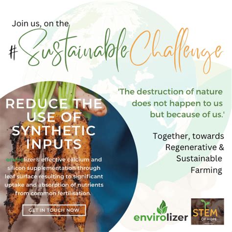 Sustainable food: the great challenge - Envirolizer