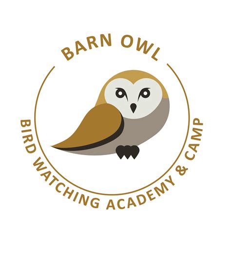 Barn Owl - Bird Watching Academy