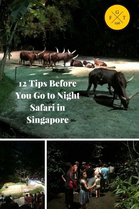 12 Tips Before You Go To Night Safari In Singapore 2020 | Family Globetrotters | Singapore ...