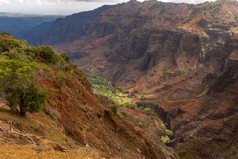 Waimea Canyon from Cliff Trail Lookout | View along the Waim… | Flickr