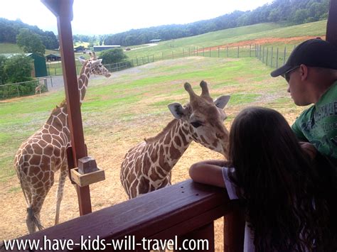 Surprising Things We Saw At Virginia Safari Park - have-kids-will ...