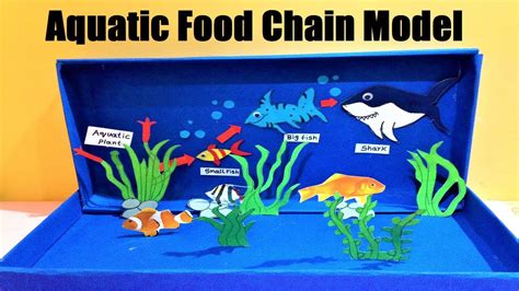 Food Chain Examples In Water