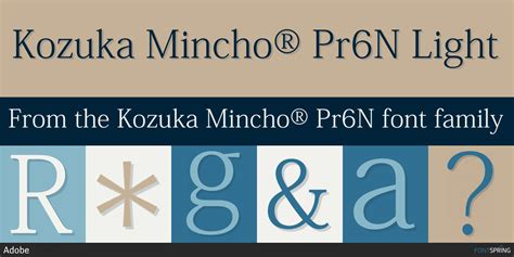 Kozuka Mincho® Pr6N Font | Fontspring