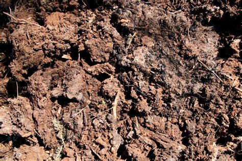 Ground background. Loose soil texture. Dirt backdrop. | Nature Stock Photos ~ Creative Market