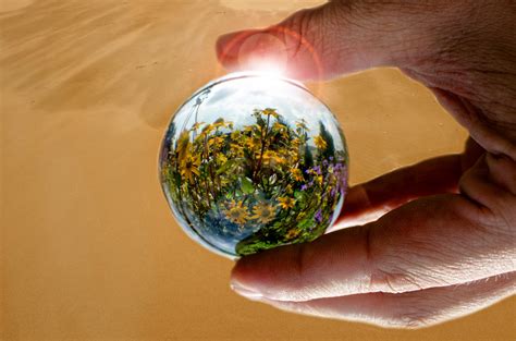 Glass Ball With Flowers Free Stock Photo - Public Domain Pictures
