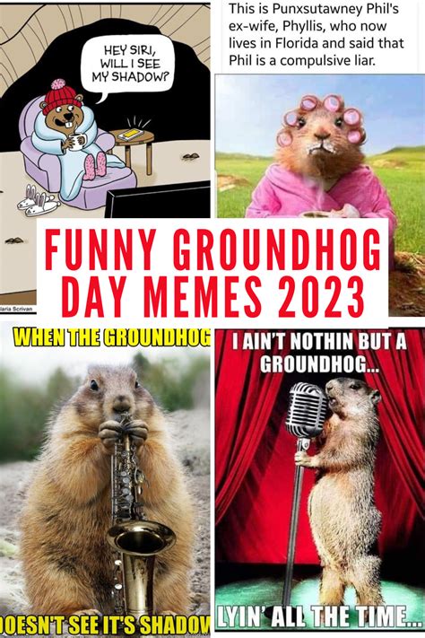 The Funniest 2023 Groundhog Day Memes to Share - Lola Lambchops