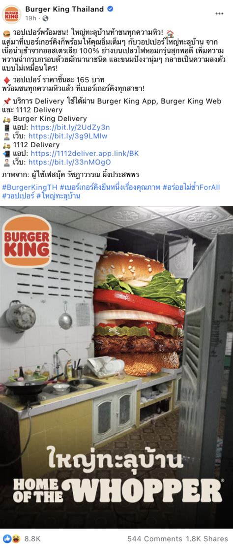 Elephant Breaks Kitchen Wall, Gets Meme'd In Burger King Ad