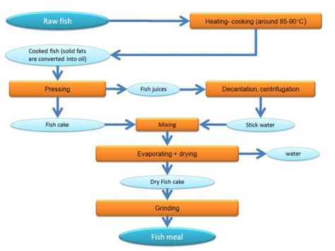 Fish meal processing (adapted from FAO, 1986) | Feedipedia