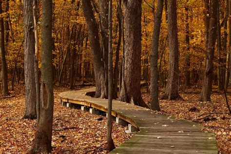 14 Best Hiking Trails In Pennsylvania - Holiday Parrots