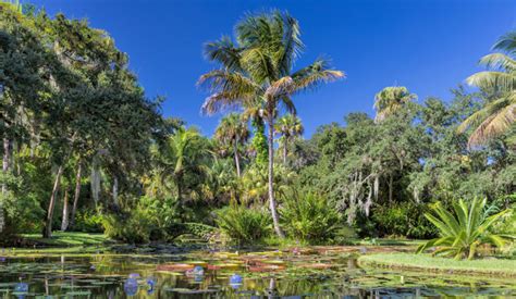 McKee Botanical Gardens to discount admissions on Community Appreciation Day – Indian River Guardian