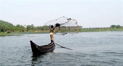 Local communities restore Ansupa Lake in Odisha