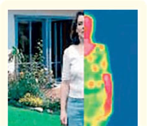 Image captured by thermography camera. | Download Scientific Diagram