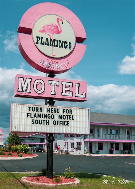 Flamingo Motel – M.A. Kleen