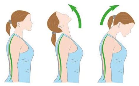 How To Reduce Neck Fat Exercise – Online degrees