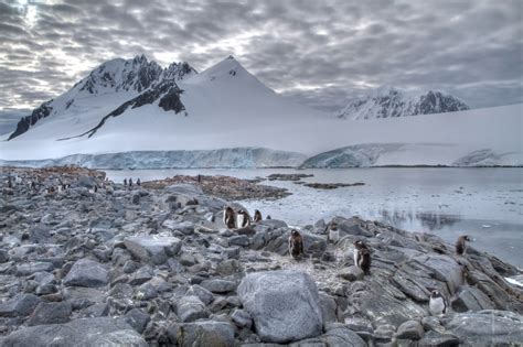 Tips and Photo Examples for Photographing Antarctica's Landscapes