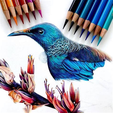 Color Pencils Drawing